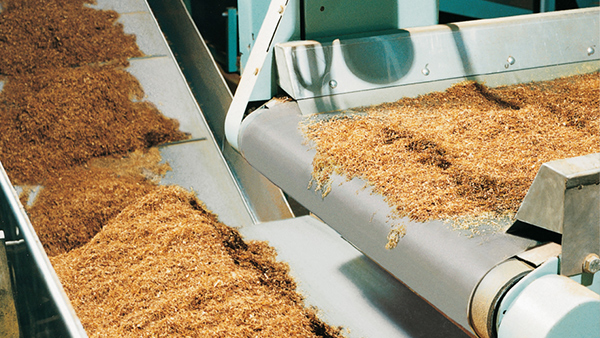 Tobacco Industry conveyor belt application