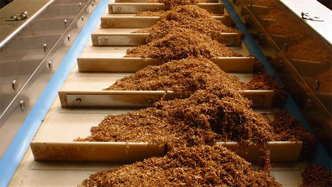 Tobacco Industry conveyor belt application